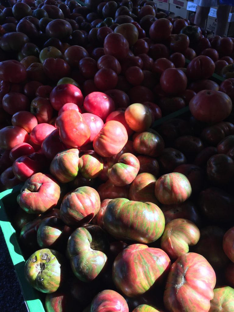 Summer Tomato Bounty